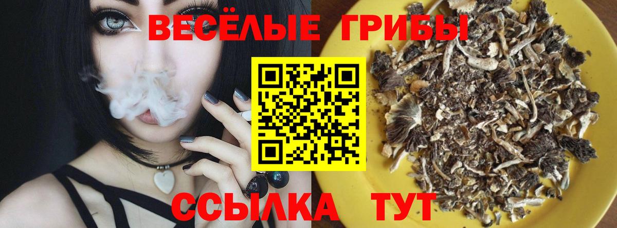 Галлюциногенные грибы MAGIC MUSHROOMS Сургут